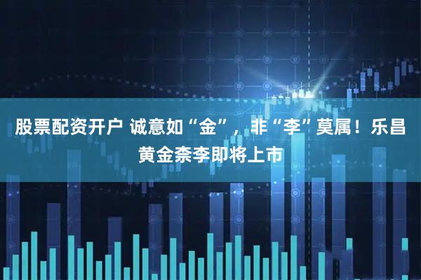 股票配资开户 诚意如“金”，非“李”莫属！乐昌黄金柰李即将上市