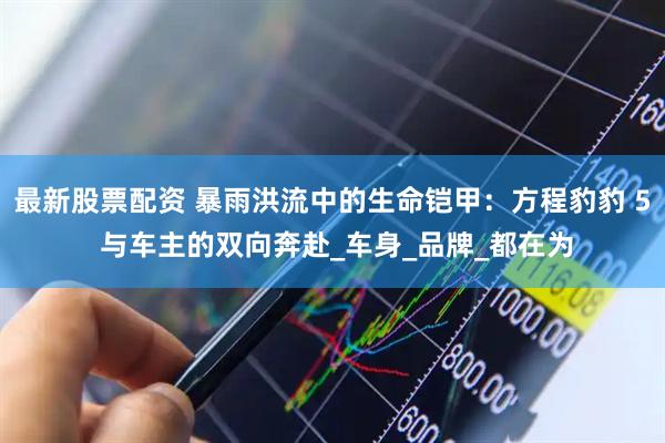 最新股票配资 暴雨洪流中的生命铠甲：方程豹豹 5 与车主的双向奔赴_车身_品牌_都在为