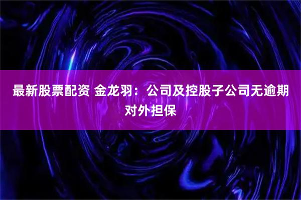 最新股票配资 金龙羽：公司及控股子公司无逾期对外担保